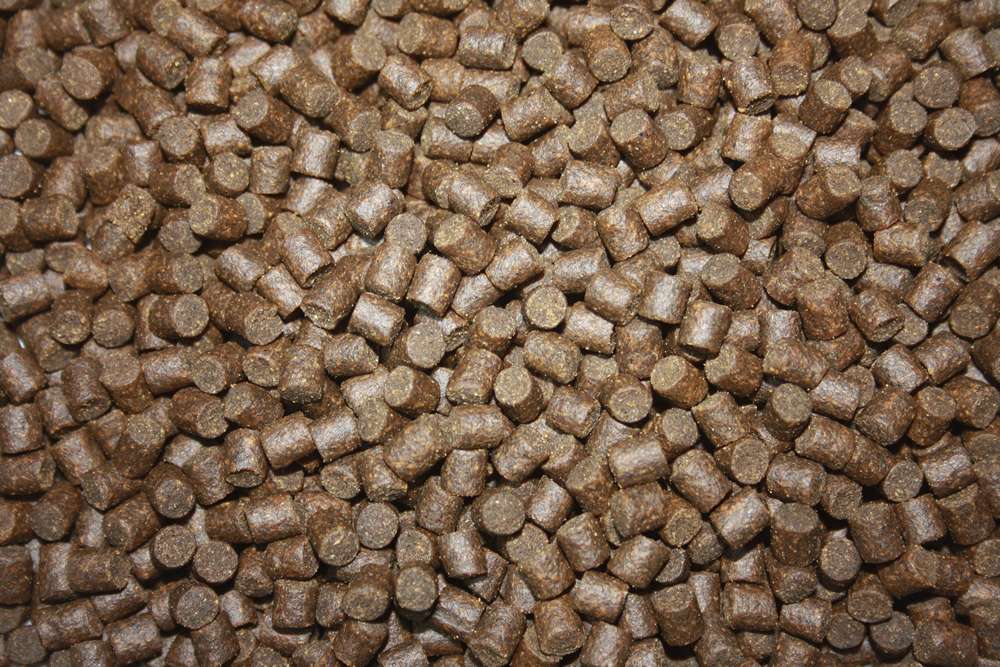 Warnick's Zierstörfutter 10 Kg – 6 Mm Sinkende Pellets, 45% Eiweiß, Alleinfutter Für Alle Störarten
